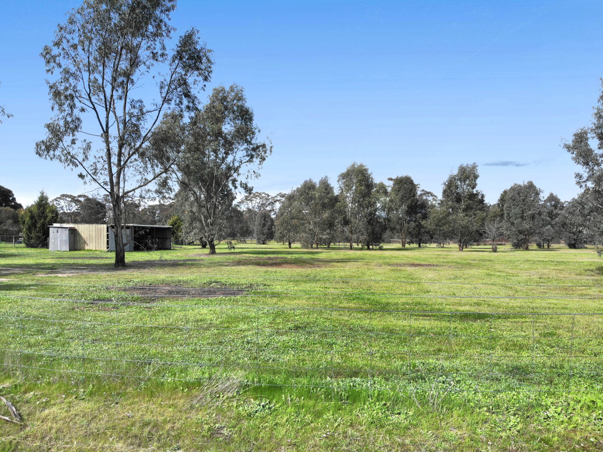 6 Churchill Court, Daisy Hill - Thumbnail 3