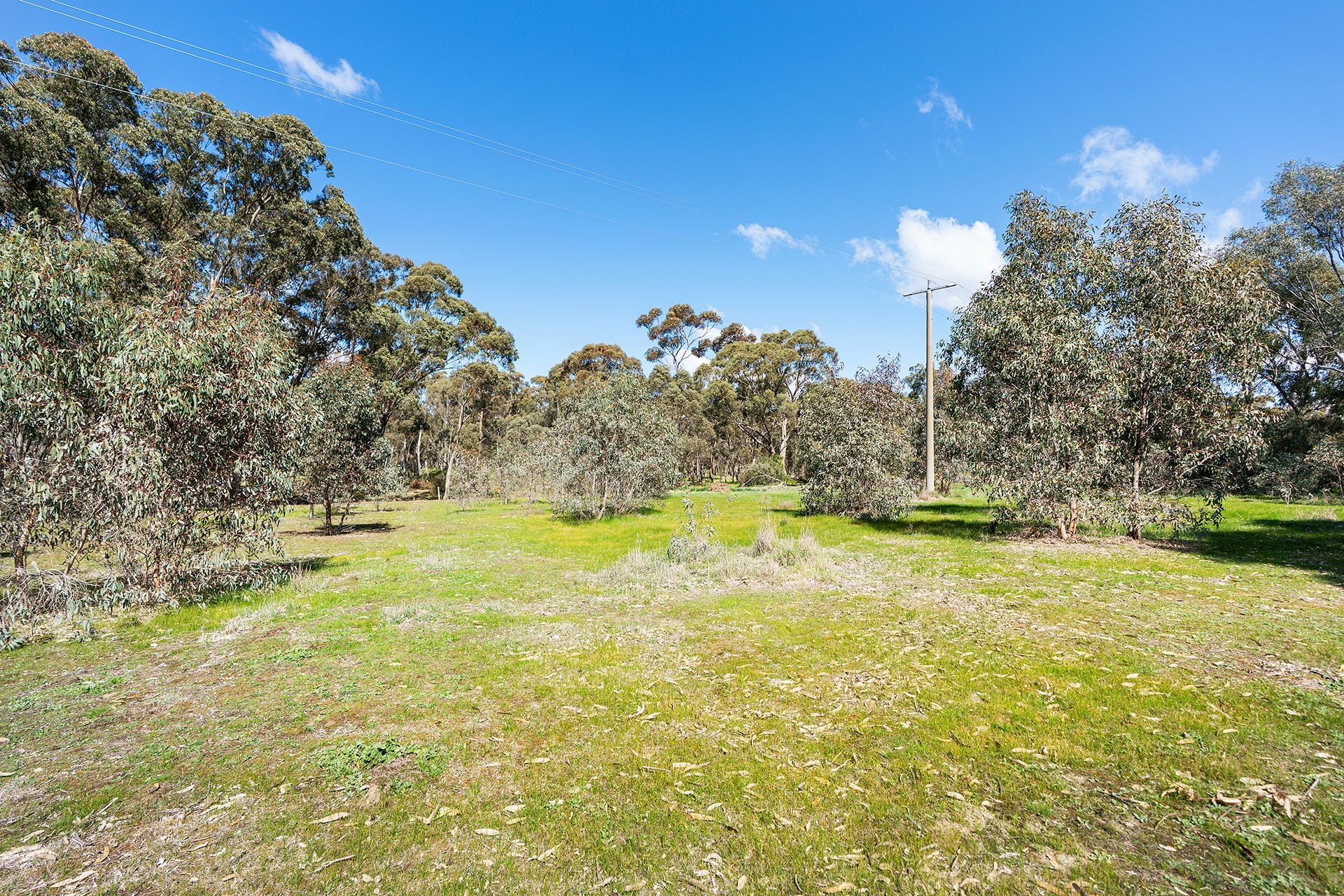 20/19 Reckleben Street, Castlemaine - Thumbnail 4