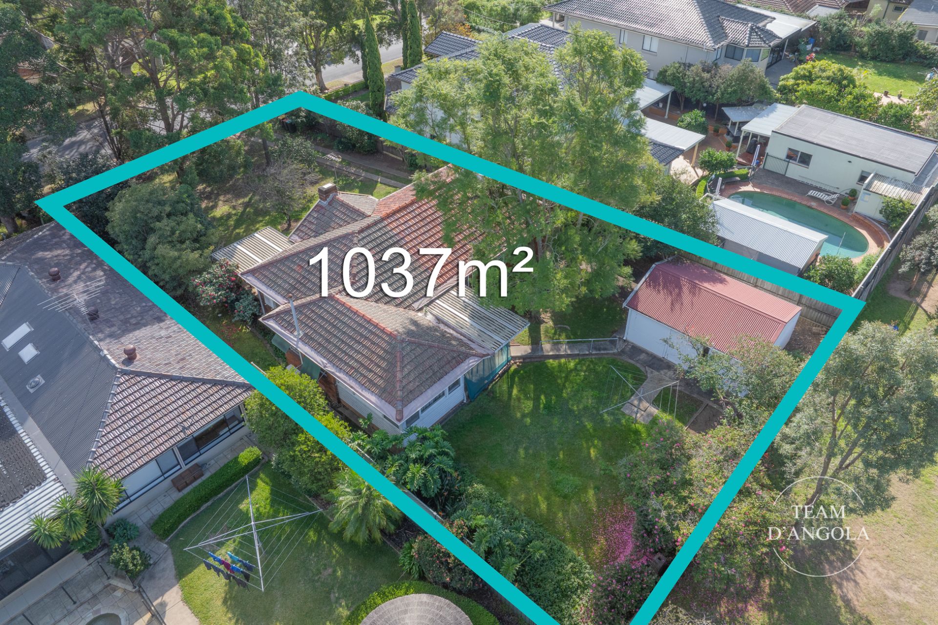 62 Excelsior Avenue, Castle Hill, Castle Hill - Image 1