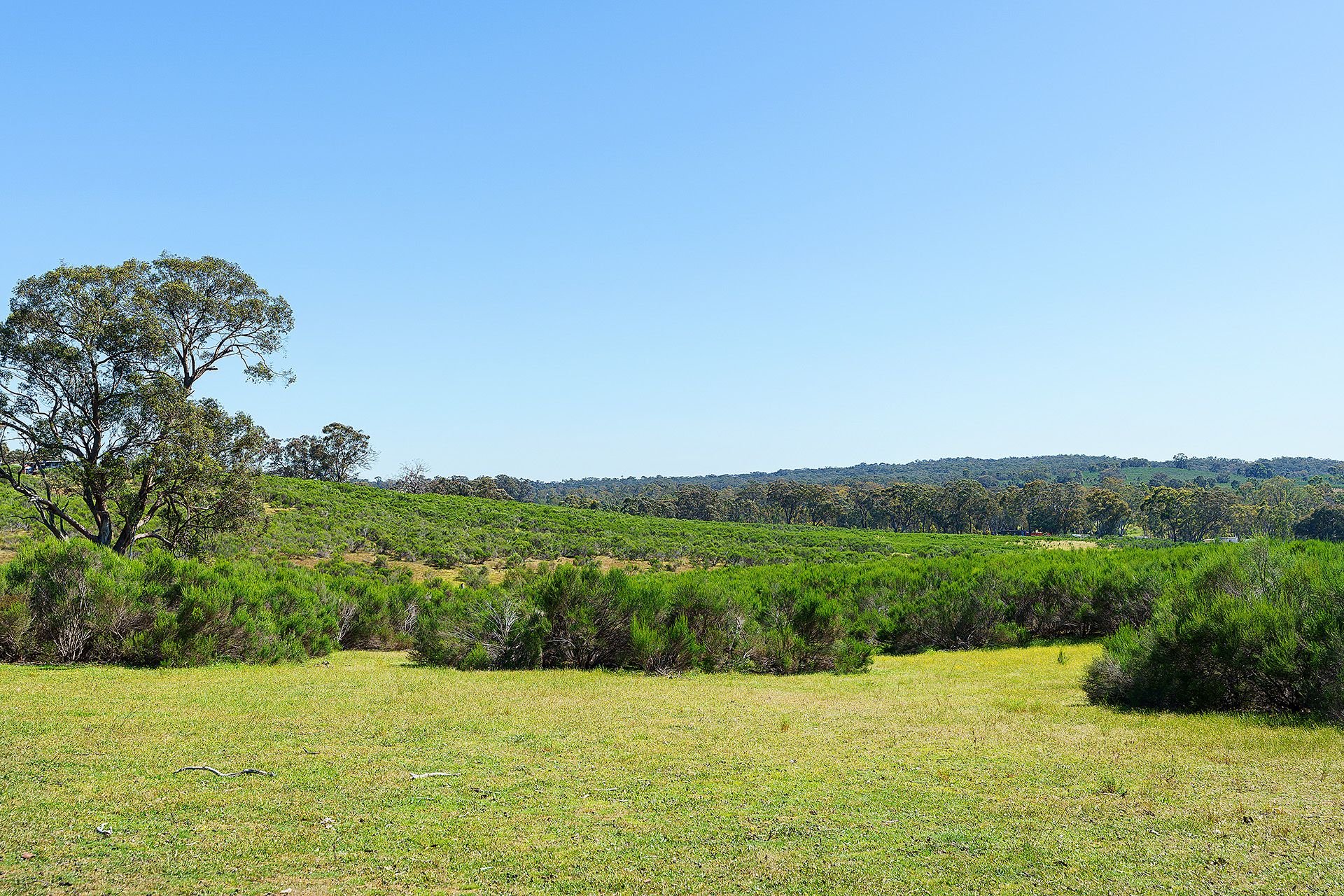 Lot 2H/ Hylands Lane, Heathcote VIC 3523