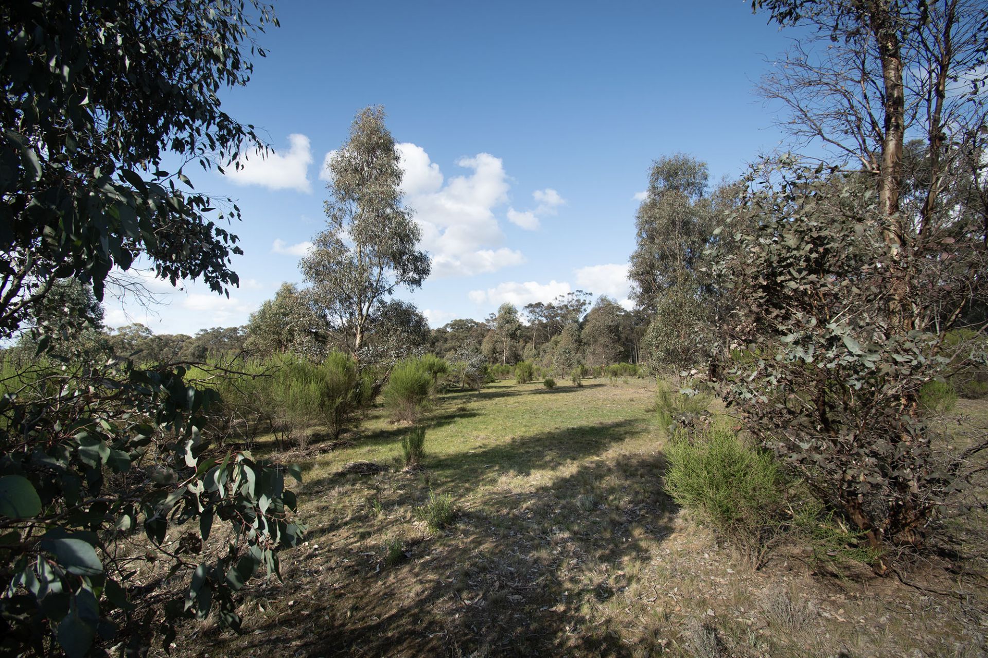 300 St-Arnaud-Dunolly Road, Goldsborough - Thumbnail 8