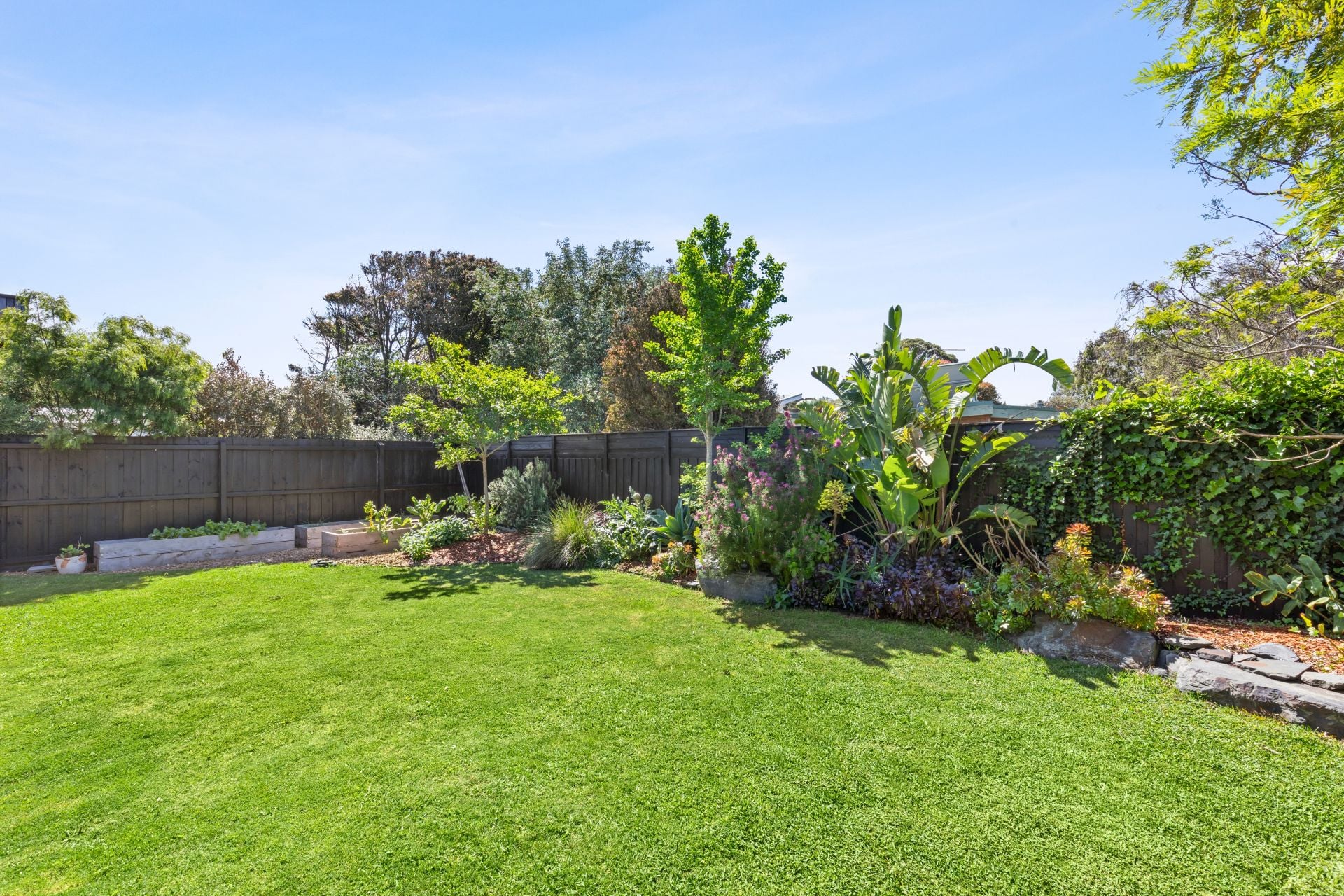 6 Coogee Court, Barwon Heads - Image 1