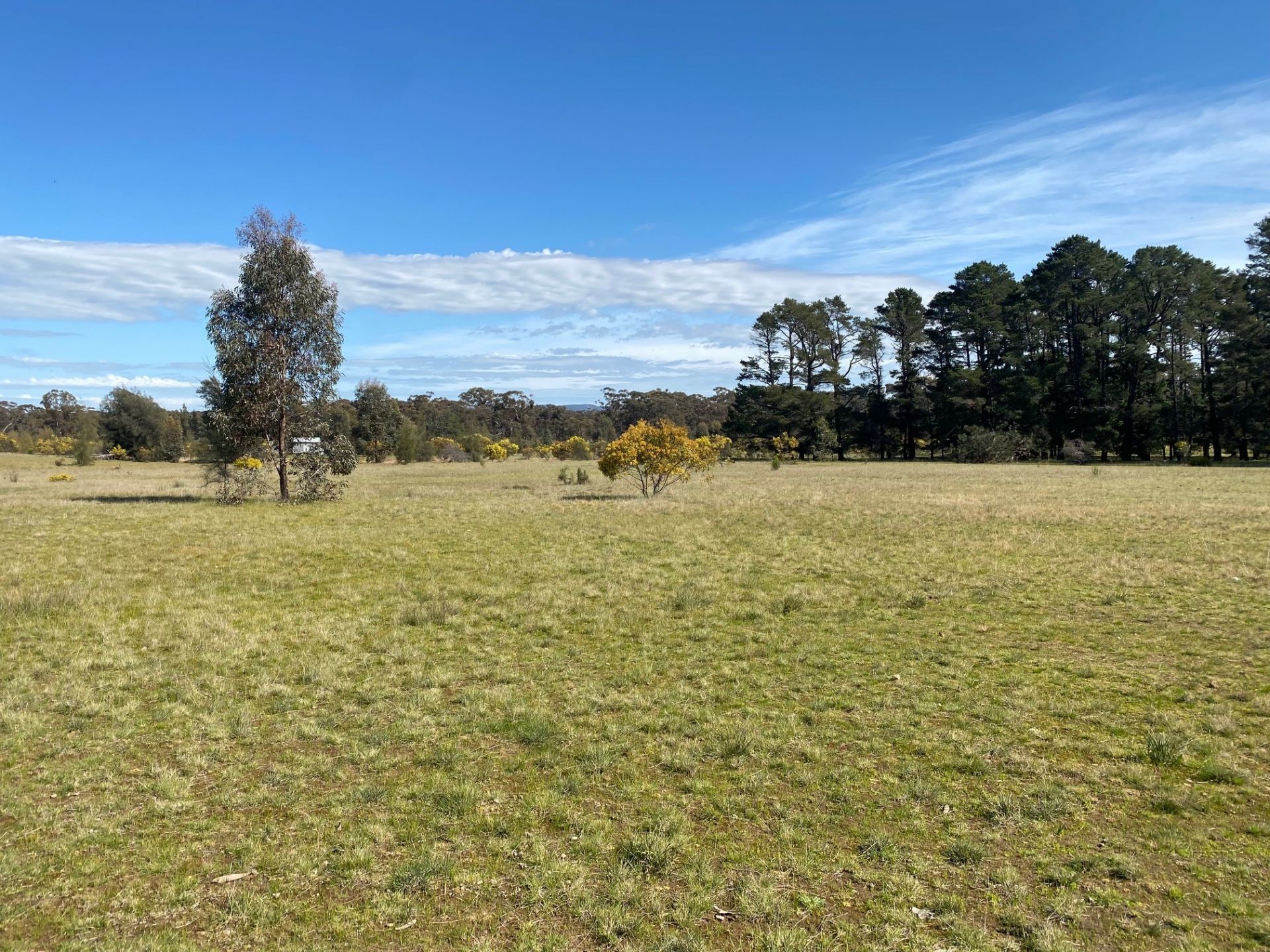 25/ Dunolly-Rheola Road, Dunolly - Thumbnail 3