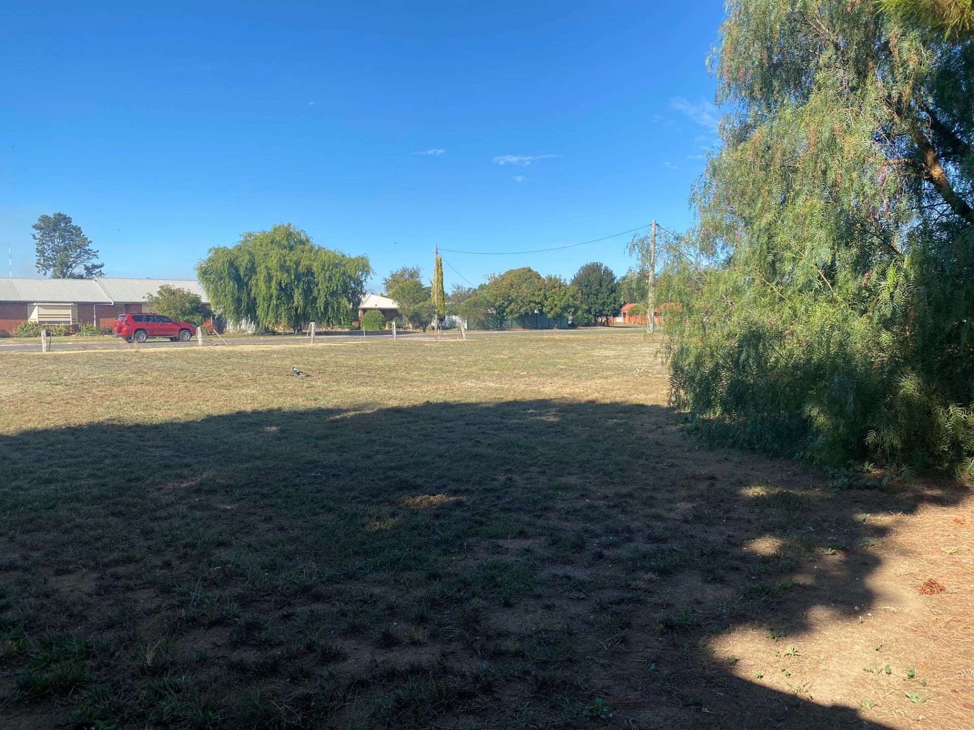 25 Birch Street, Carisbrook - Thumbnail 6