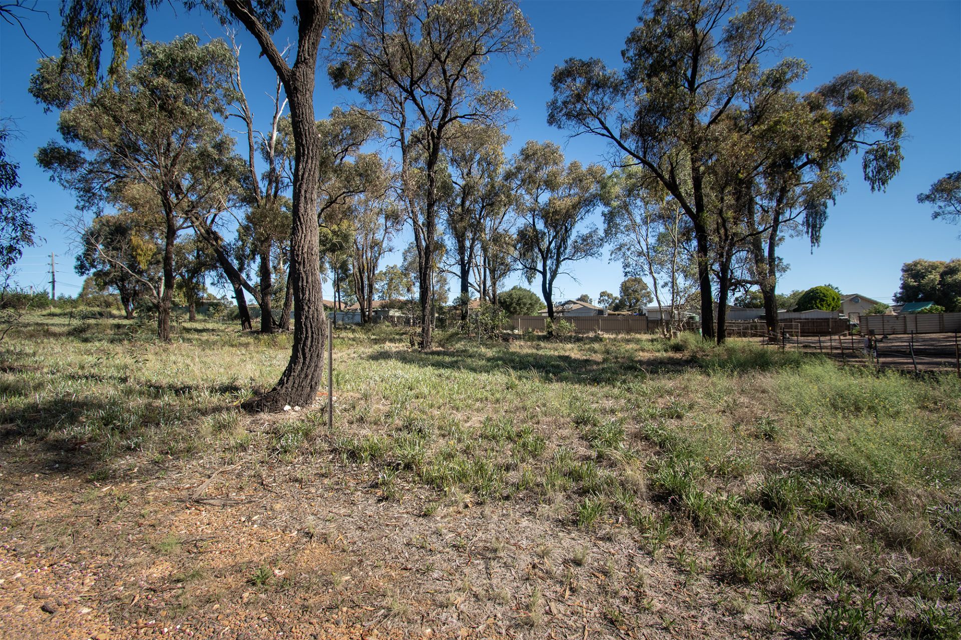 20 McPherson Avenue, Maryborough - Thumbnail 4