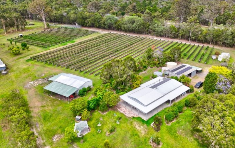 197 Stephan Road, Goomboorian For Sale by Farmbuy.com - image 3