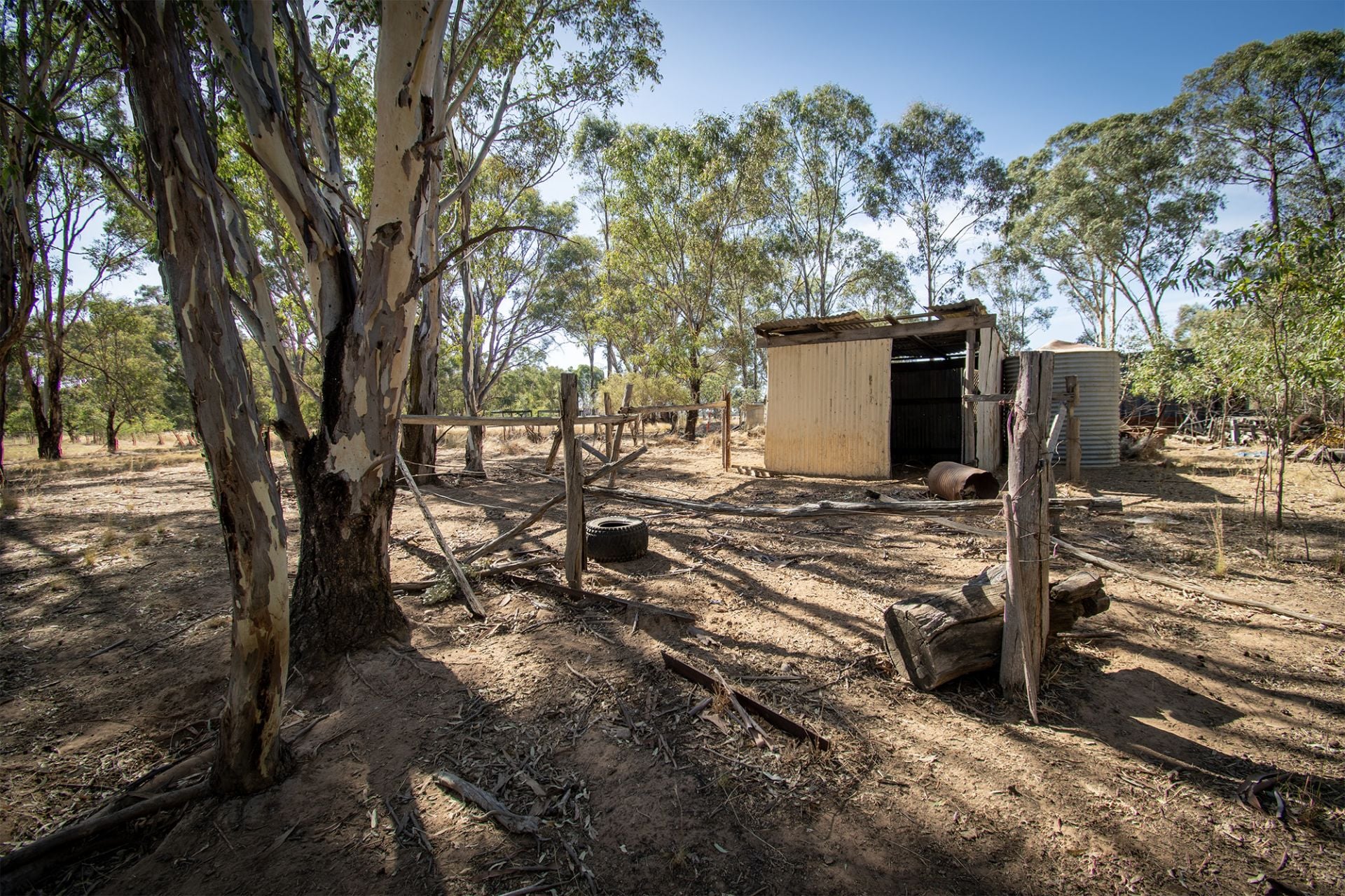 1207 Dunolly- Timor Road, Timor - Thumbnail 3