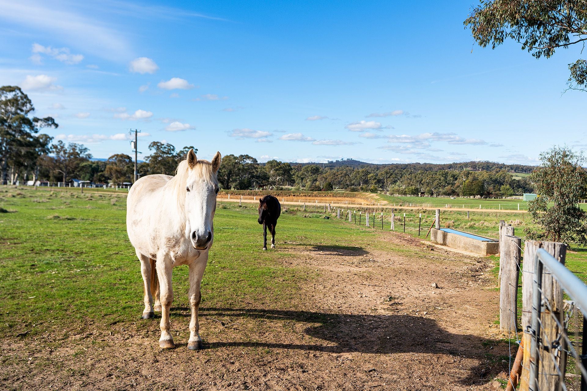 60 Symes Road Muckleford South, Muckleford South - Image 1