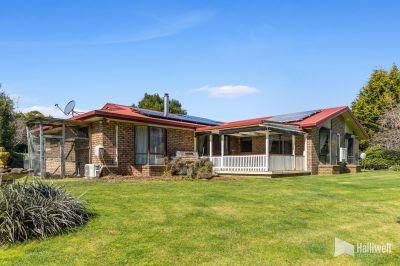 38 Winifred Avenue, Acacia Hills, Acacia Hills - Thumbnail 4