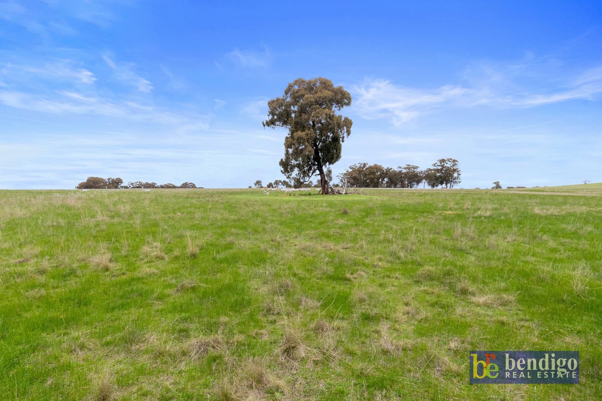 CA 12/Sec 31 Bendigo-Maldon Road Lockwood South VIC, South - Thumbnail 4