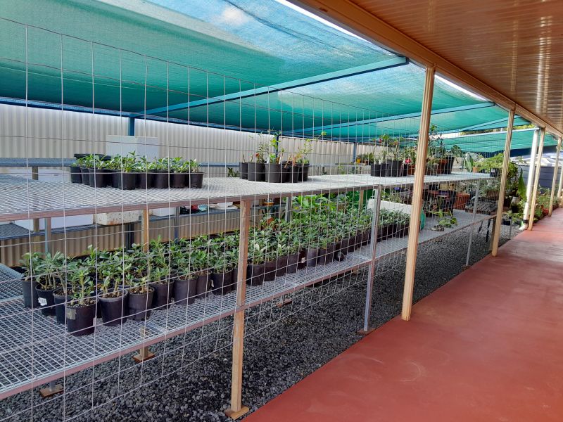 8 Hinkler Street, Childers, Childers - Thumbnail 3