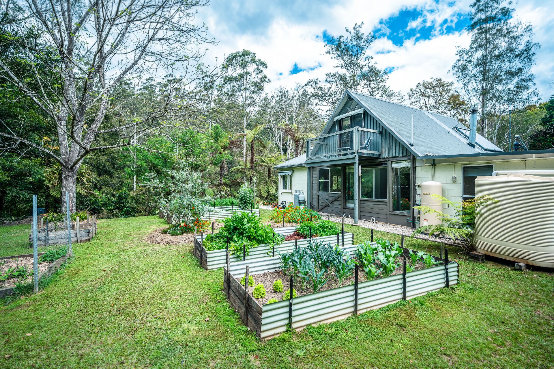 2300 Kalang Road BELLINGEN NSW