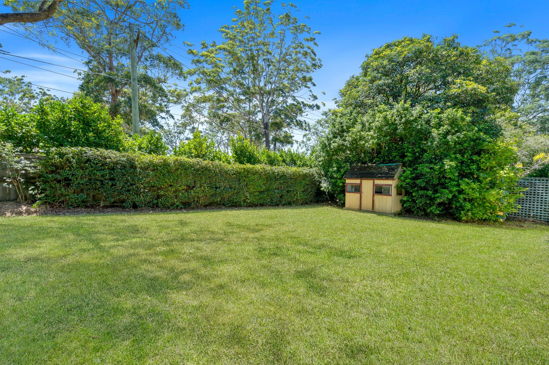 50 New Line Road, West Pennant Hills NSW, West Pennant Hills - Thumbnail 2