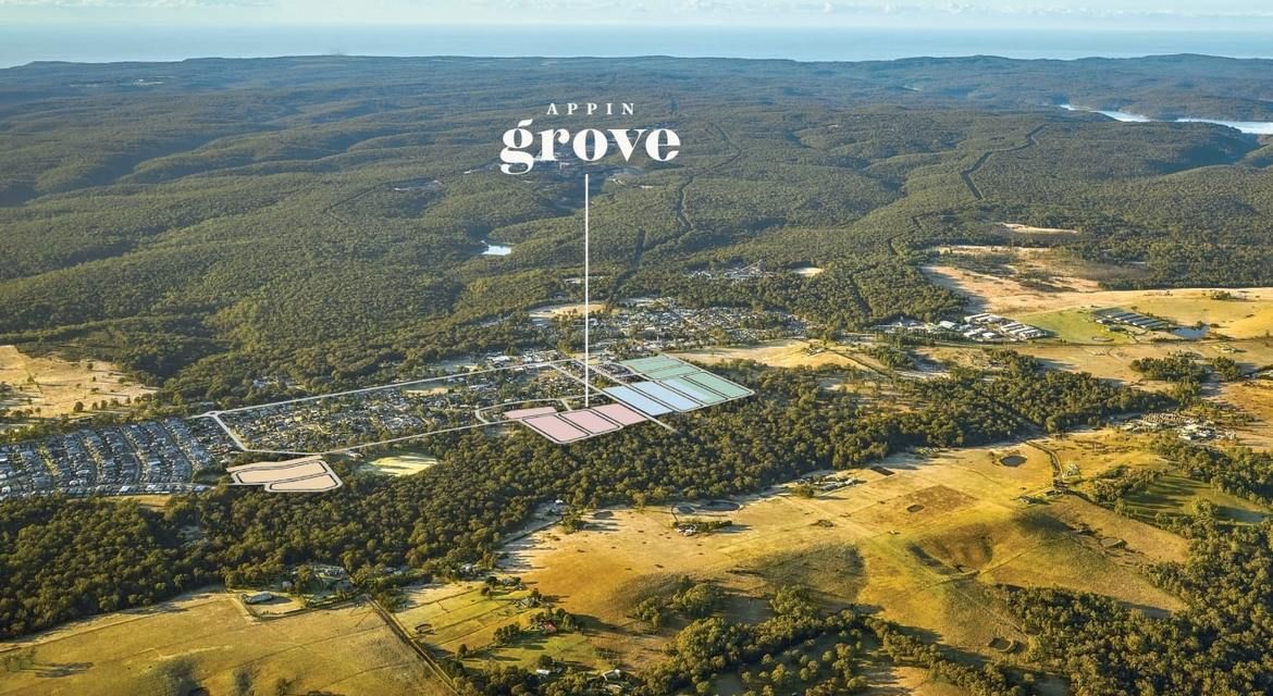 Appin 484/ Appin Grove