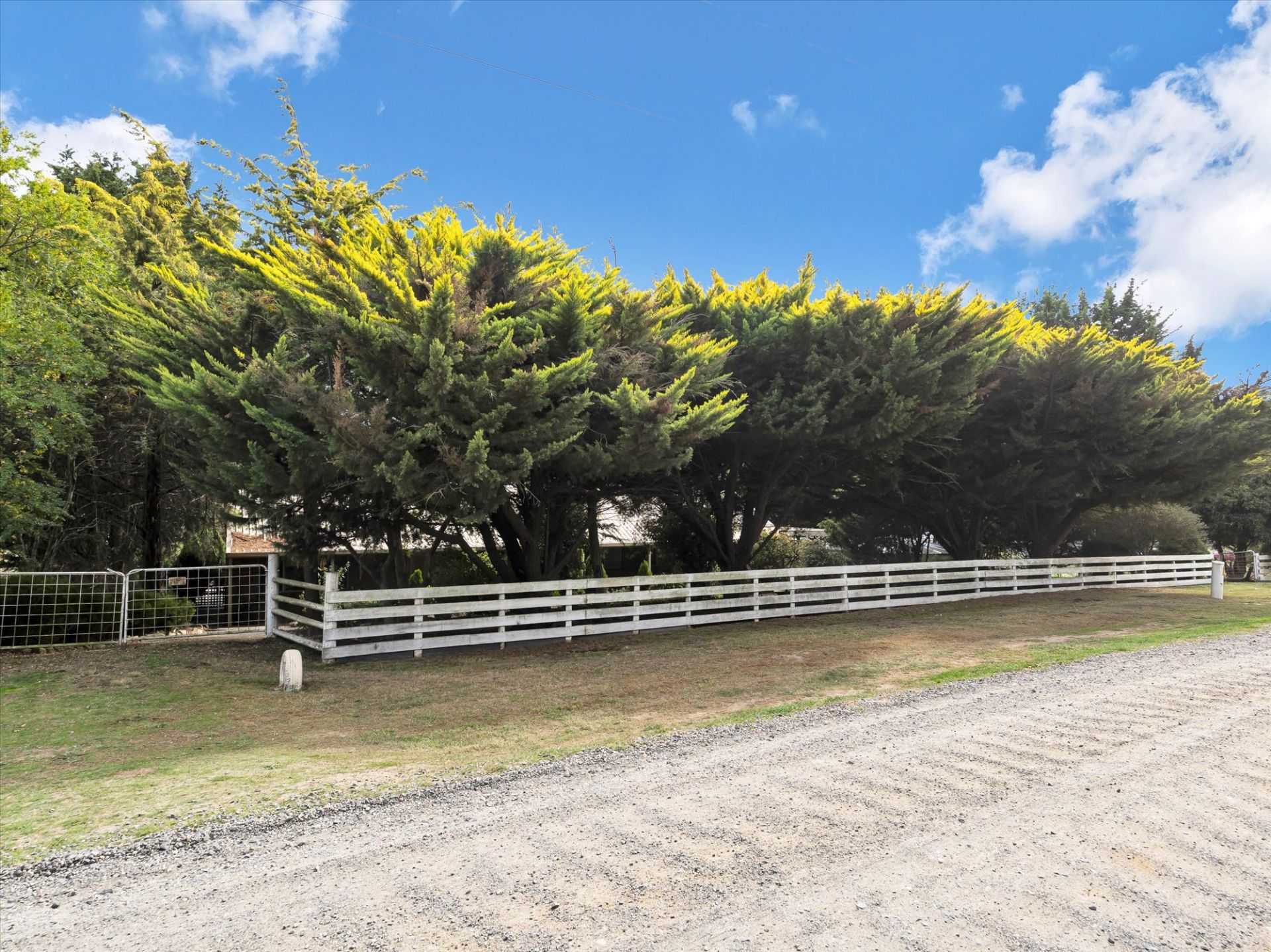 14 Napoleon  Street, Greendale, Greendale - Thumbnail 5