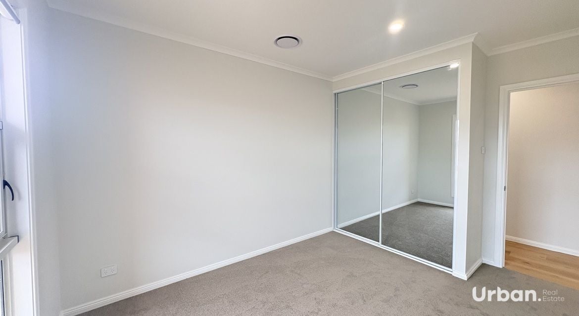 Branxton 12 Pistacia Grove