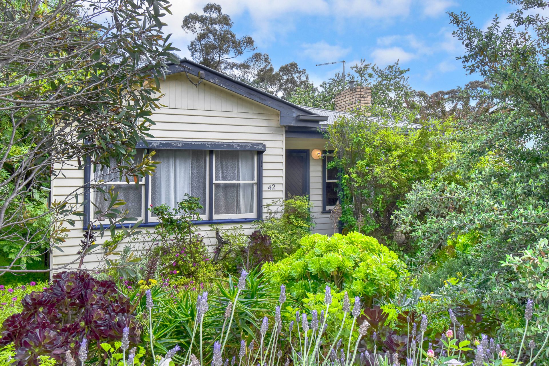 42 Derby Road, Maryborough - Thumbnail 3