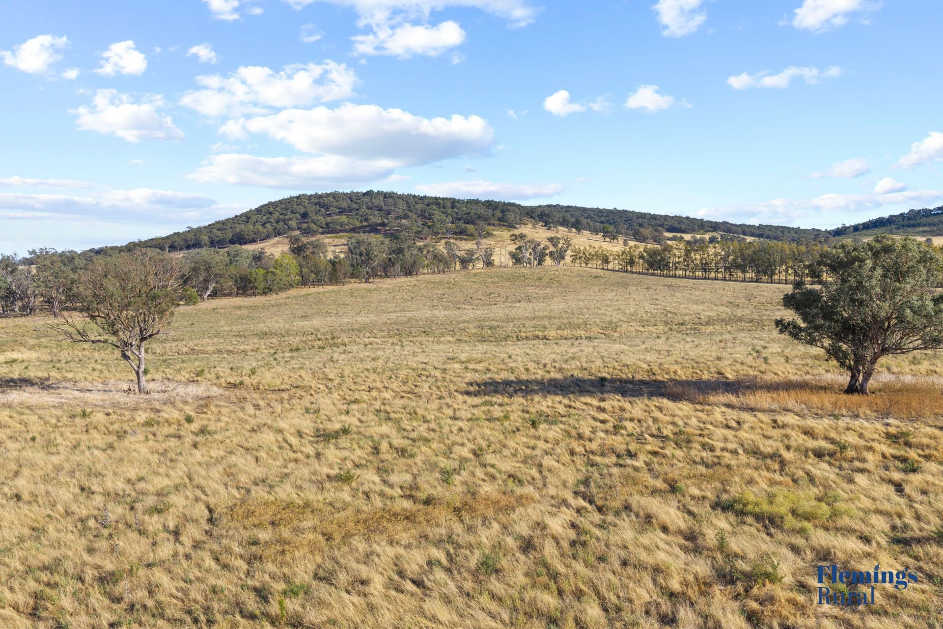 145 Cusack Road, Boorowa NSW, Boorowa - Thumbnail 2