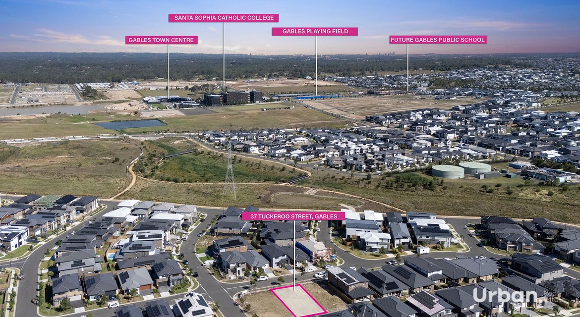 Box Hill 37 Tuckeroo  (Gables) Street