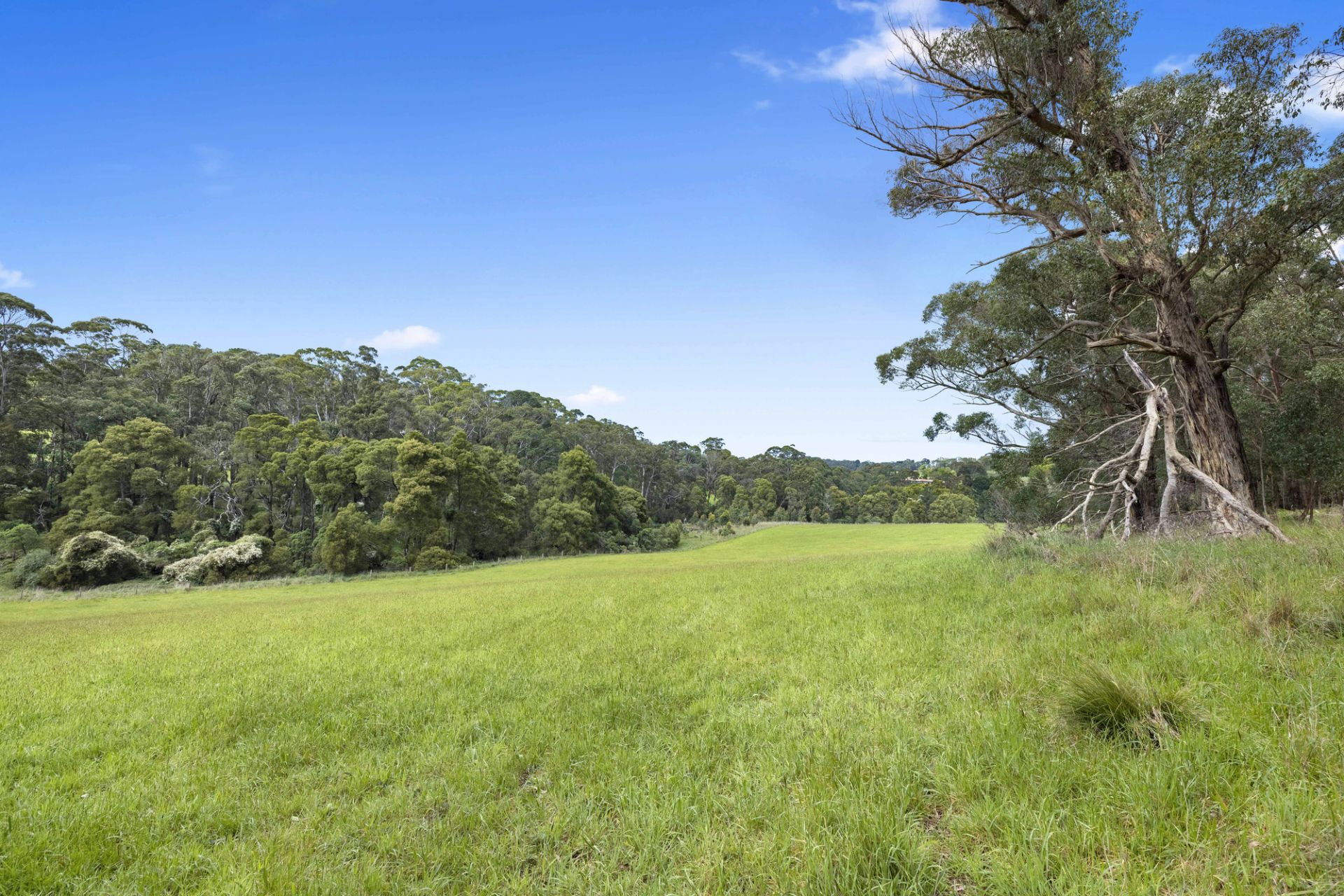 110 Stony Creek Road, Red Hill, Red Hill - Thumbnail 2