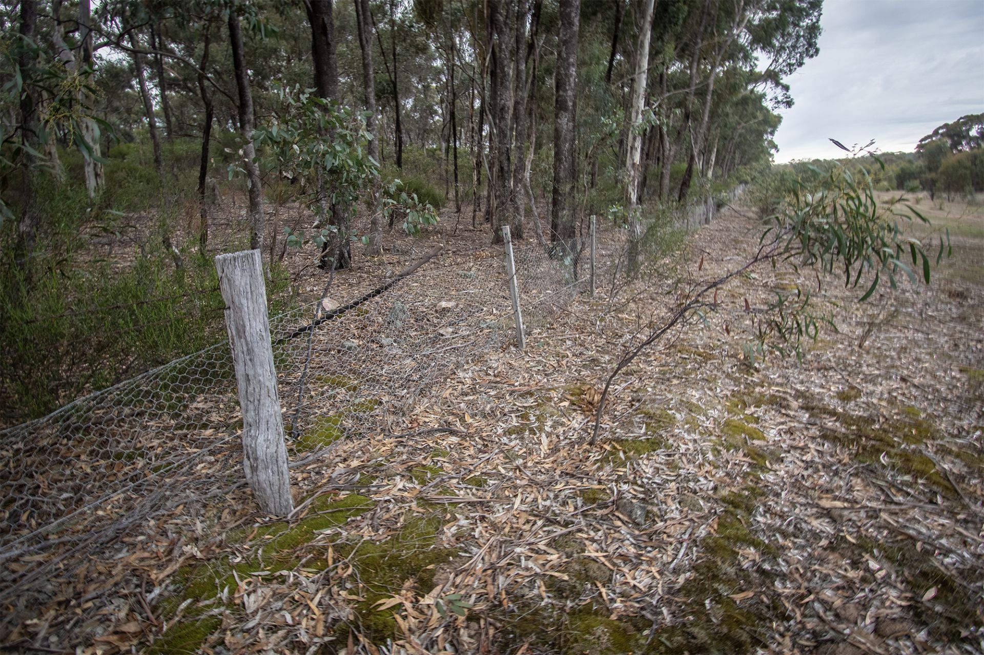 6/ Section 1 Rheola Arnold Road, Rheola - Thumbnail 6