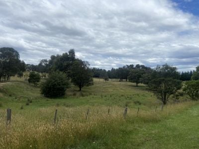 Beveridge 65 Braemore Place