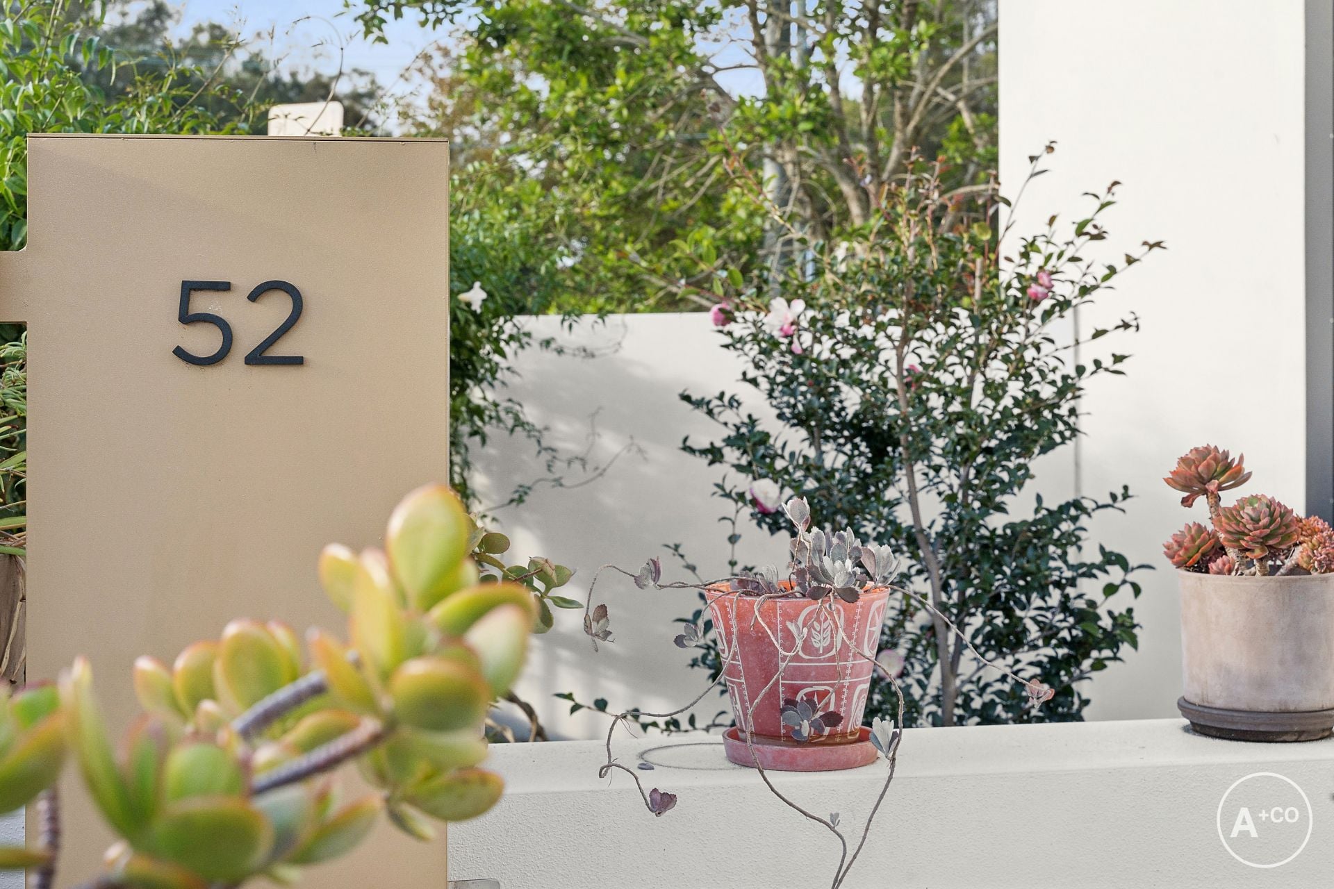 52 Page Street, Pagewood, Pagewood - Thumbnail 5