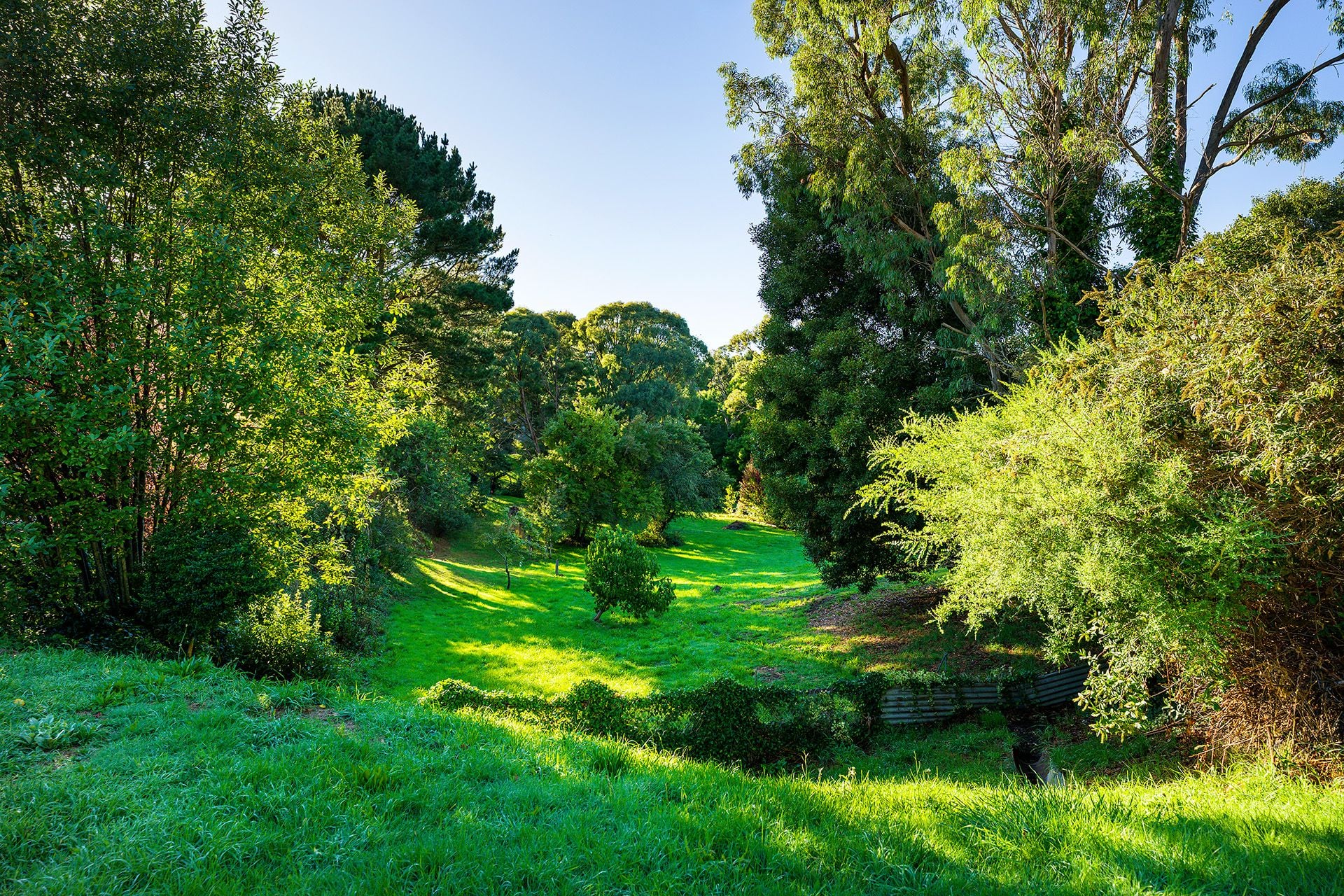 45 Perrins Street Daylesford, Daylesford - Thumbnail 8