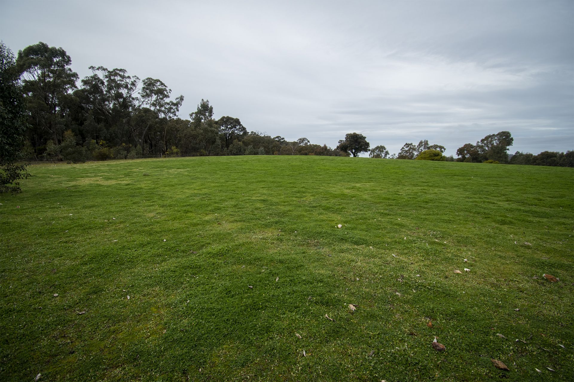 CA 31 - Clay Gully  Lane - McIntyre, Dunolly, Dunolly - Thumbnail 7