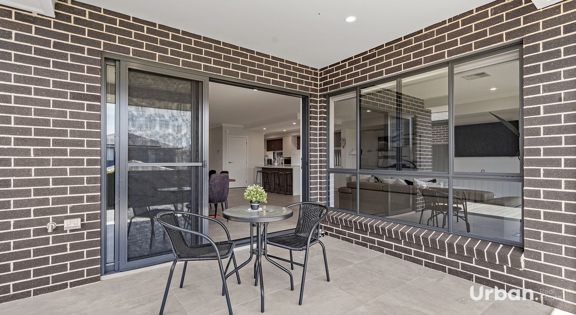 Box Hill 20 Pridham Avenue