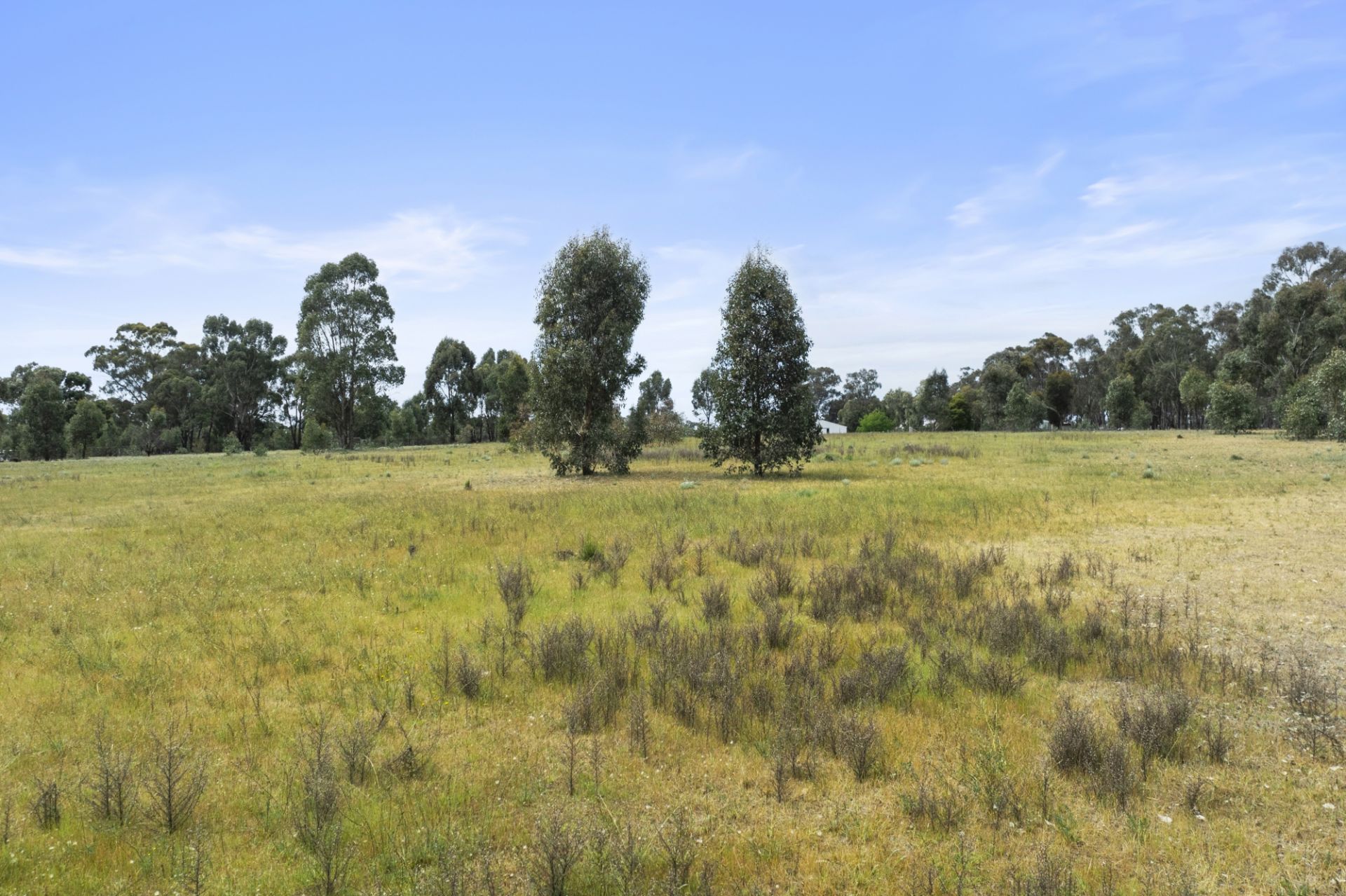 767 Maryborough Dunolly Road, Havelock - Thumbnail 7