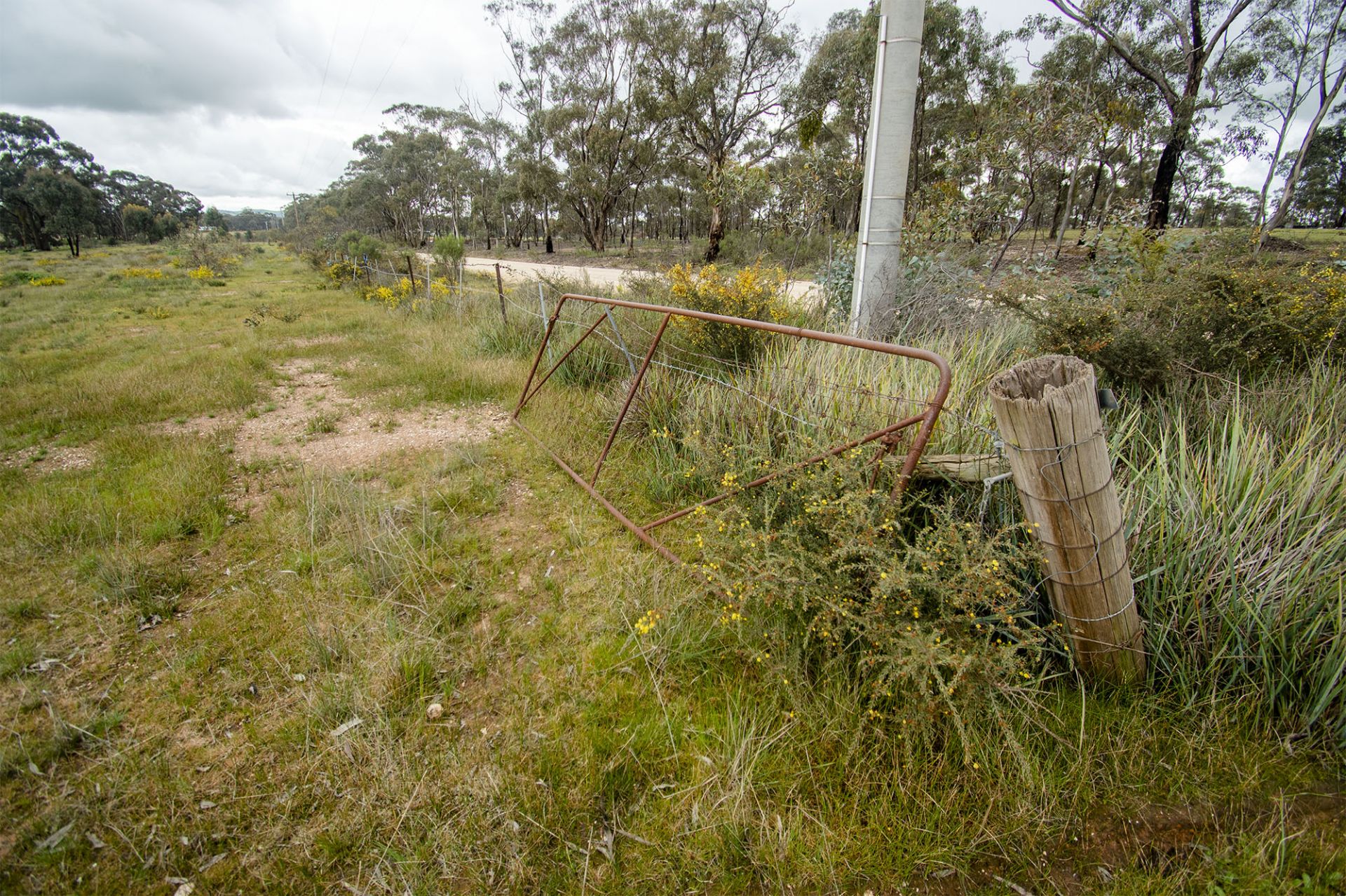 31/123 Logan Road, Alma - Thumbnail 6