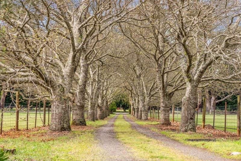 1459 Daylesford-Trentham Road, Lyonville