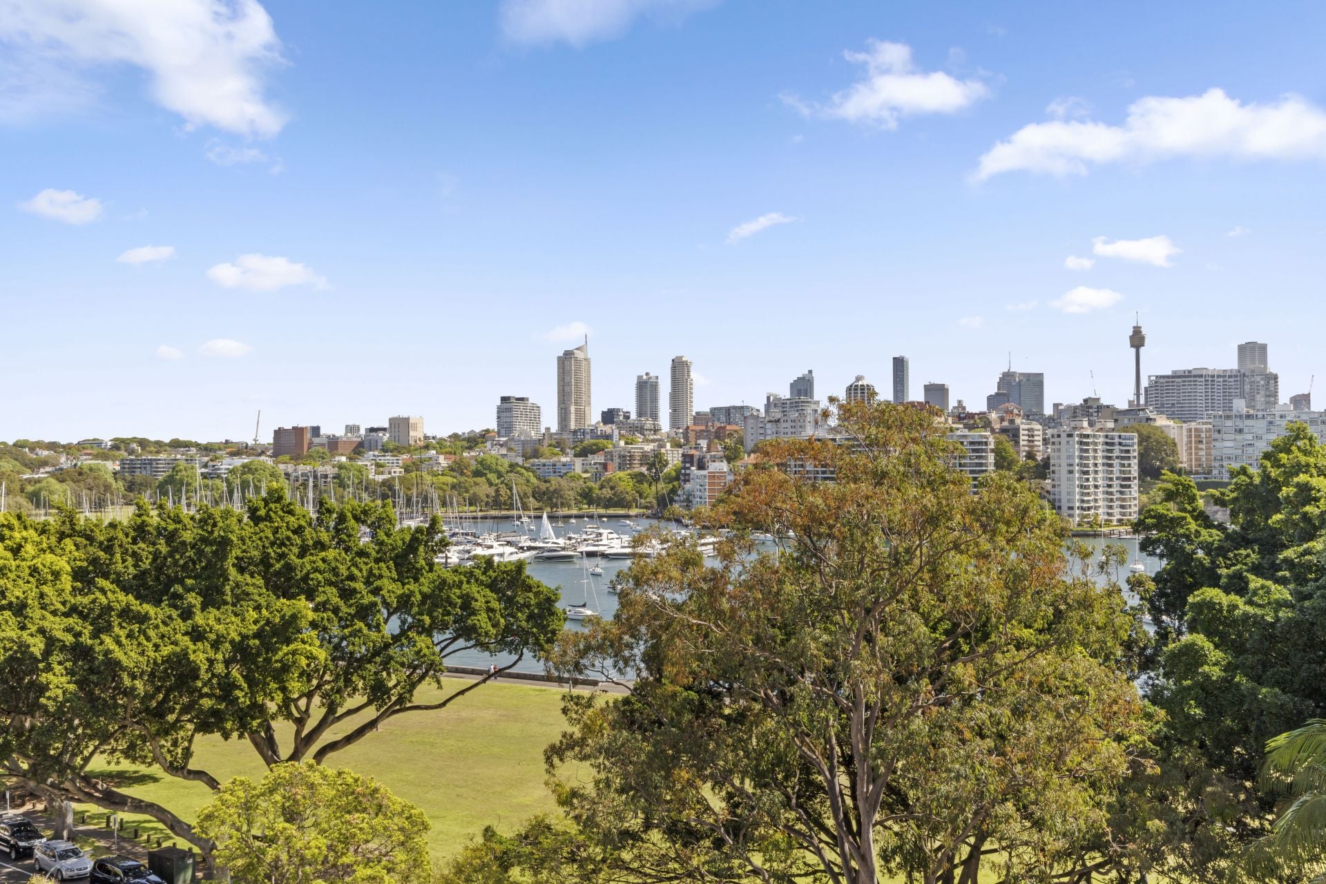 8 Goomerah Crescent Darling Point NSW, Darling Point - Thumbnail 6