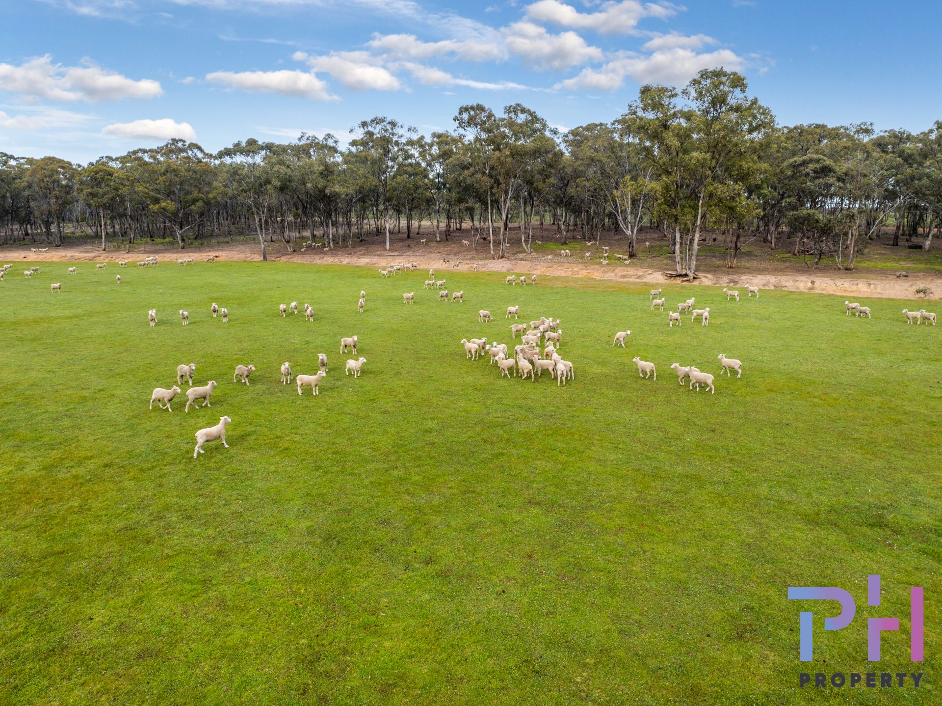 43 Rowe Lane Marong VIC, Marong - Thumbnail 4