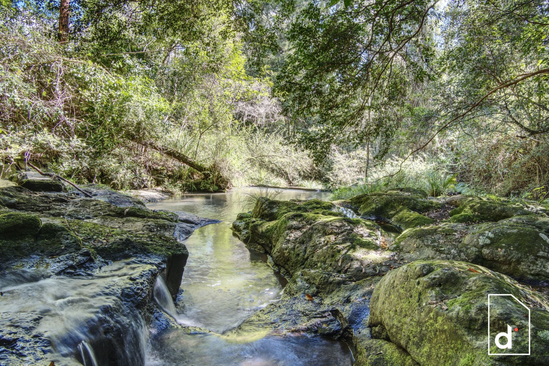136 Wender Road, Collins Creek NSW