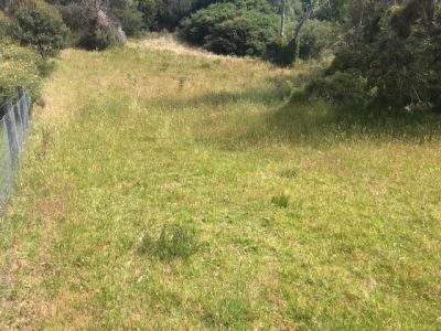 71 Alfred Crescent, Venus Bay VIC, Venus Bay - Thumbnail 4