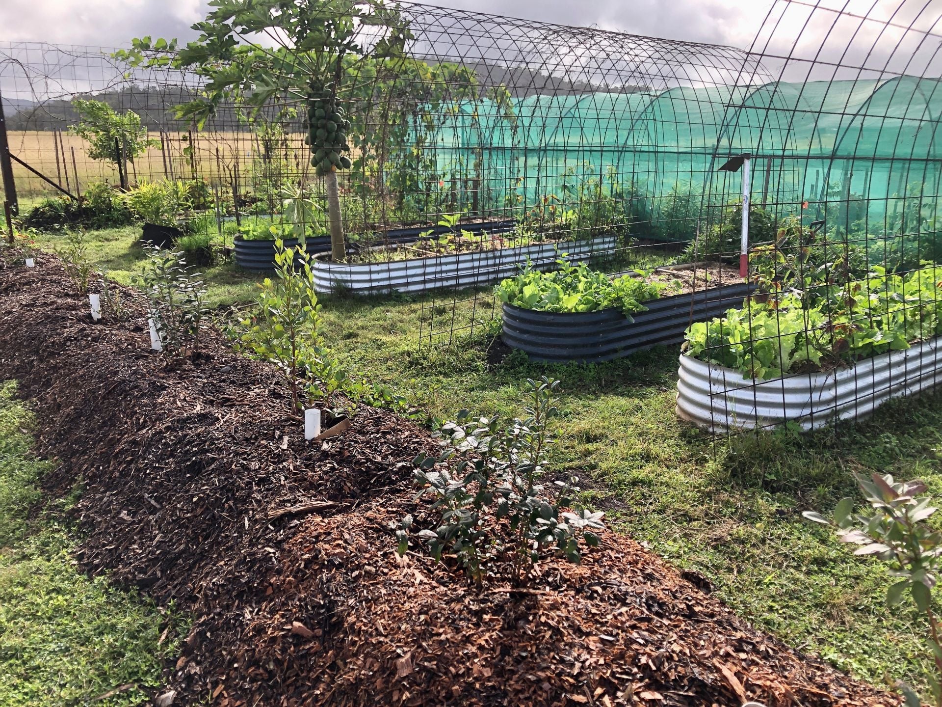 84 Gordon Earl Drive, Millstream For Sale by Farmbuy.com - image 31