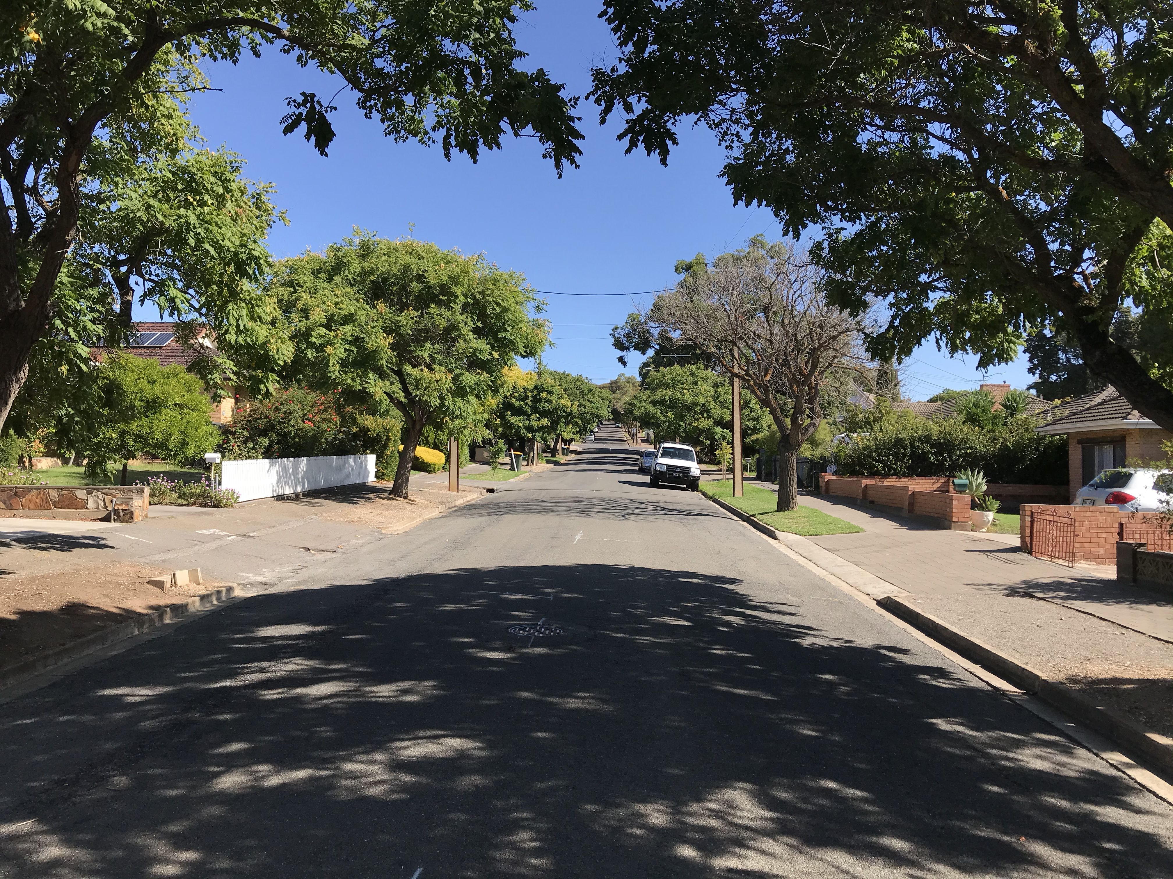 20 Ontario Ave, Panorama SA 5041