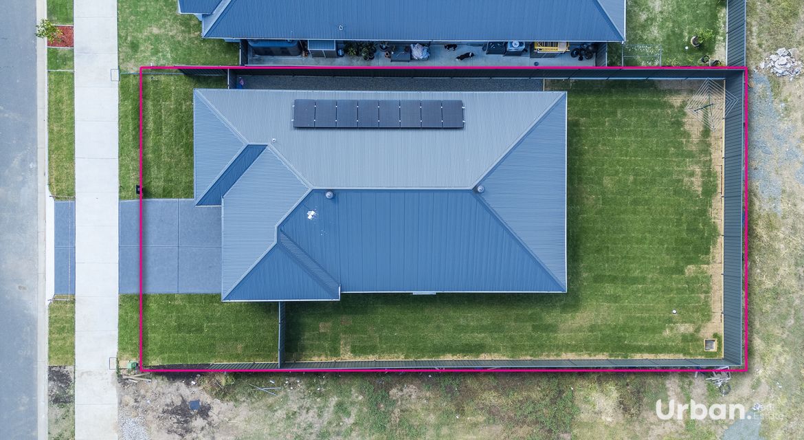 Bellbird 68 Abbotsford Street