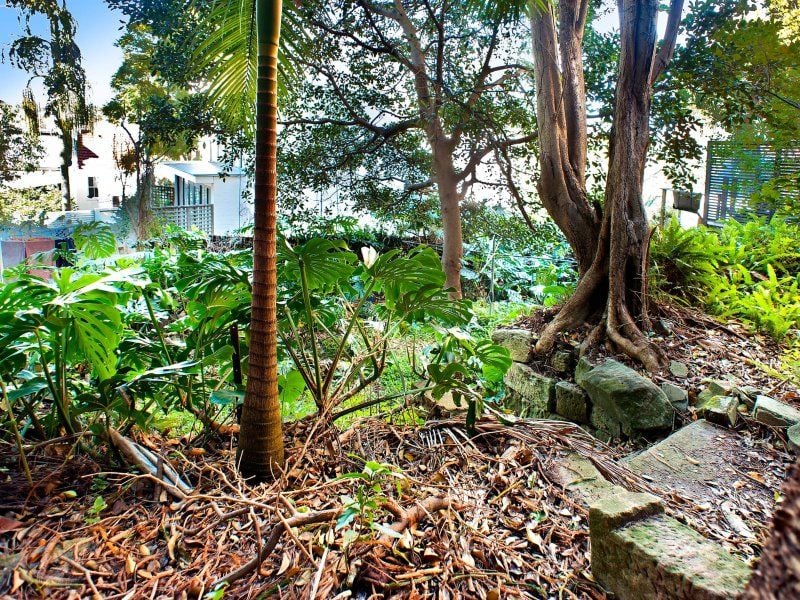 74-76 Surrey Street Darlinghurst NSW, Darlinghurst - Thumbnail 6