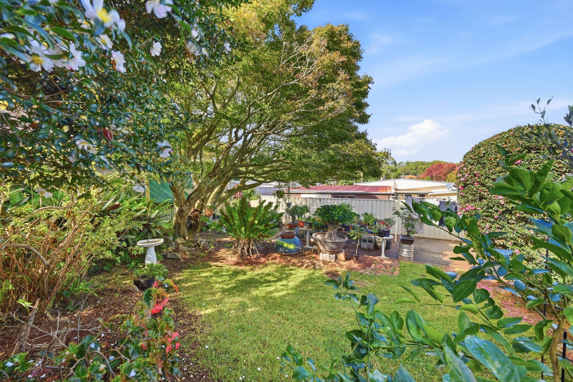 1 Hilltop Crescent Port Macquarie NSW, Port Macquarie - Image 1