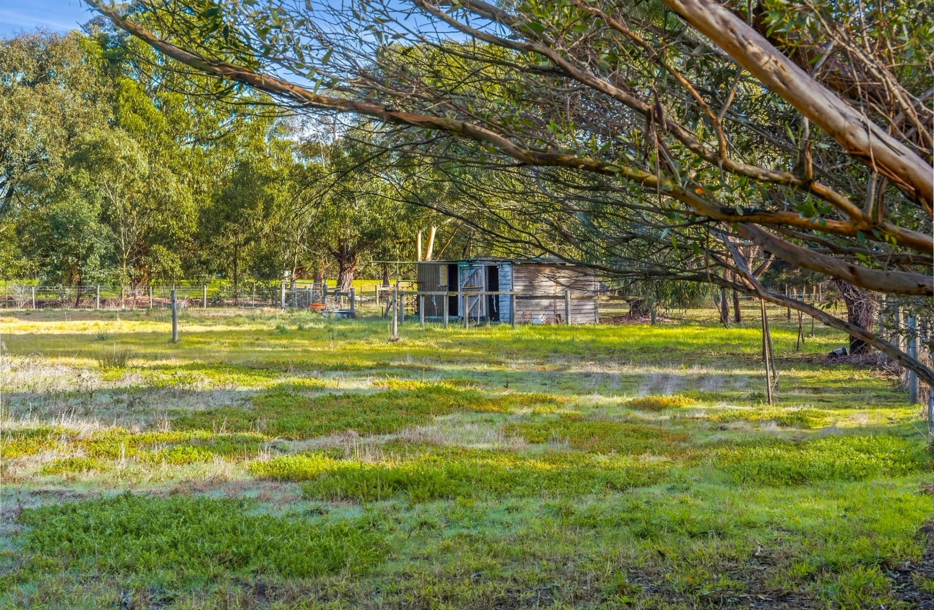 1-5 Merino Court Wallington VIC, Wallington - Thumbnail 6