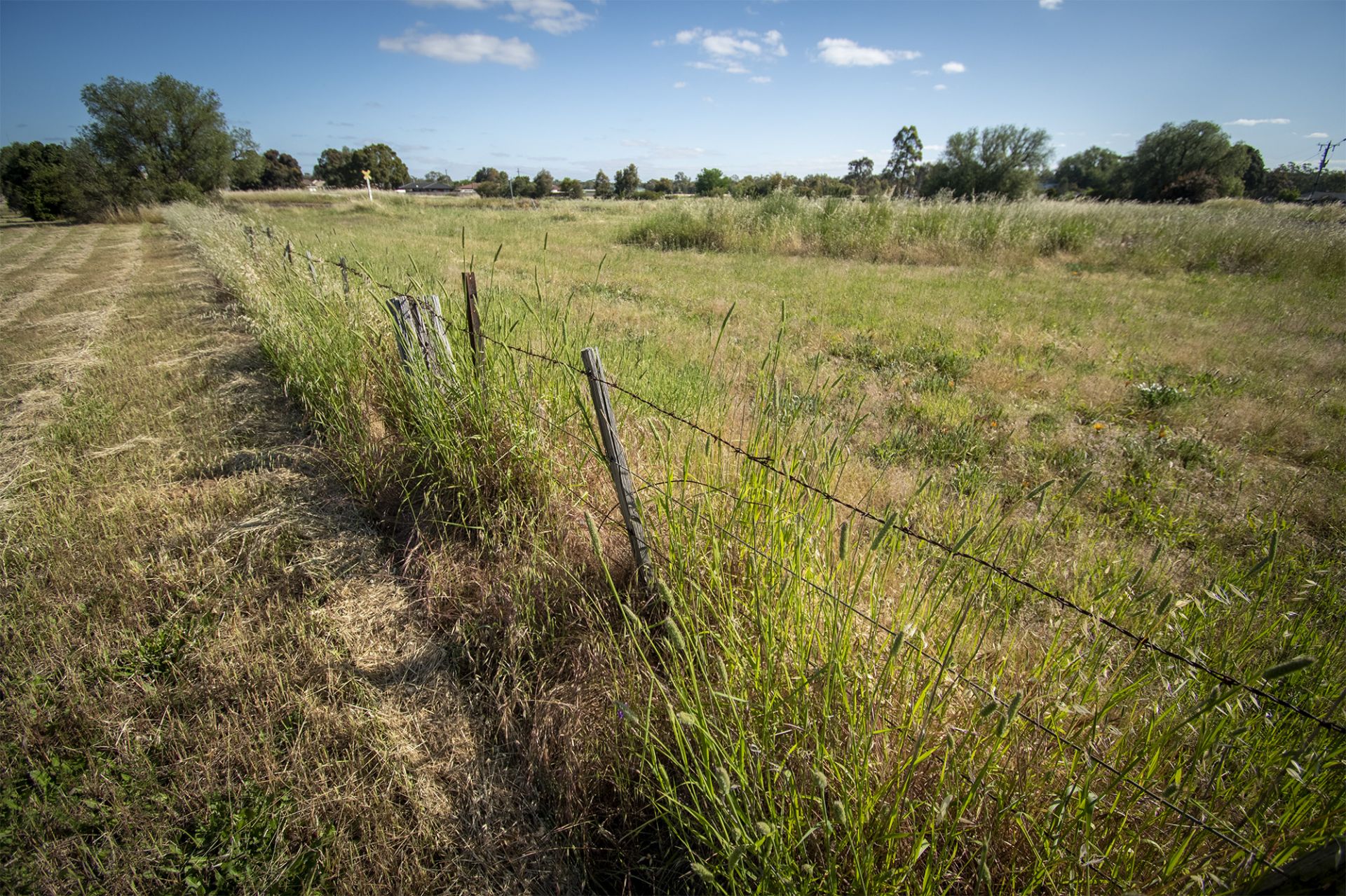 1 REAR/93 Maude Street, Dunolly - Thumbnail 5