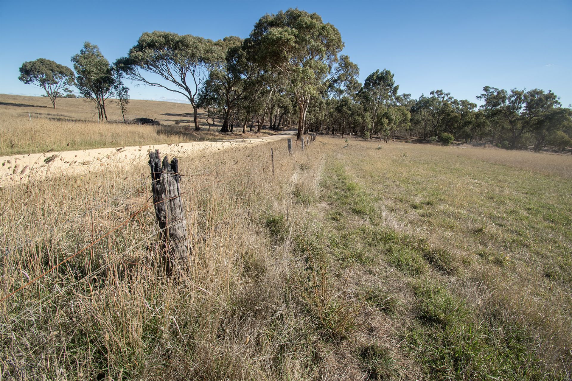 65 Hoopers Road, Mount Glasgow - Thumbnail 5