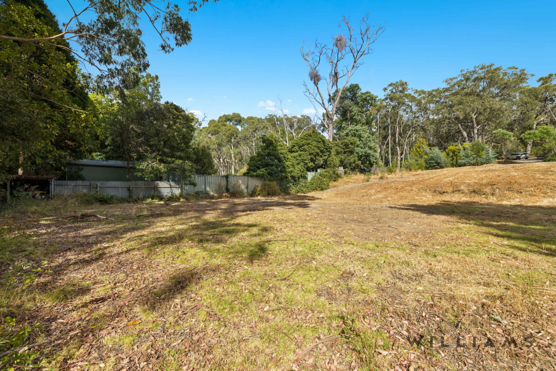 53 Mabel Street Stirling SA, Stirling - Thumbnail 6