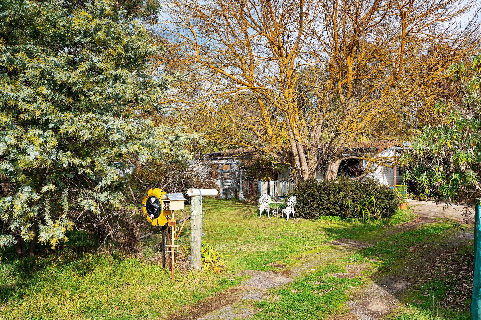 38 Elizabeth Street, Campbells Creek - Thumbnail 4