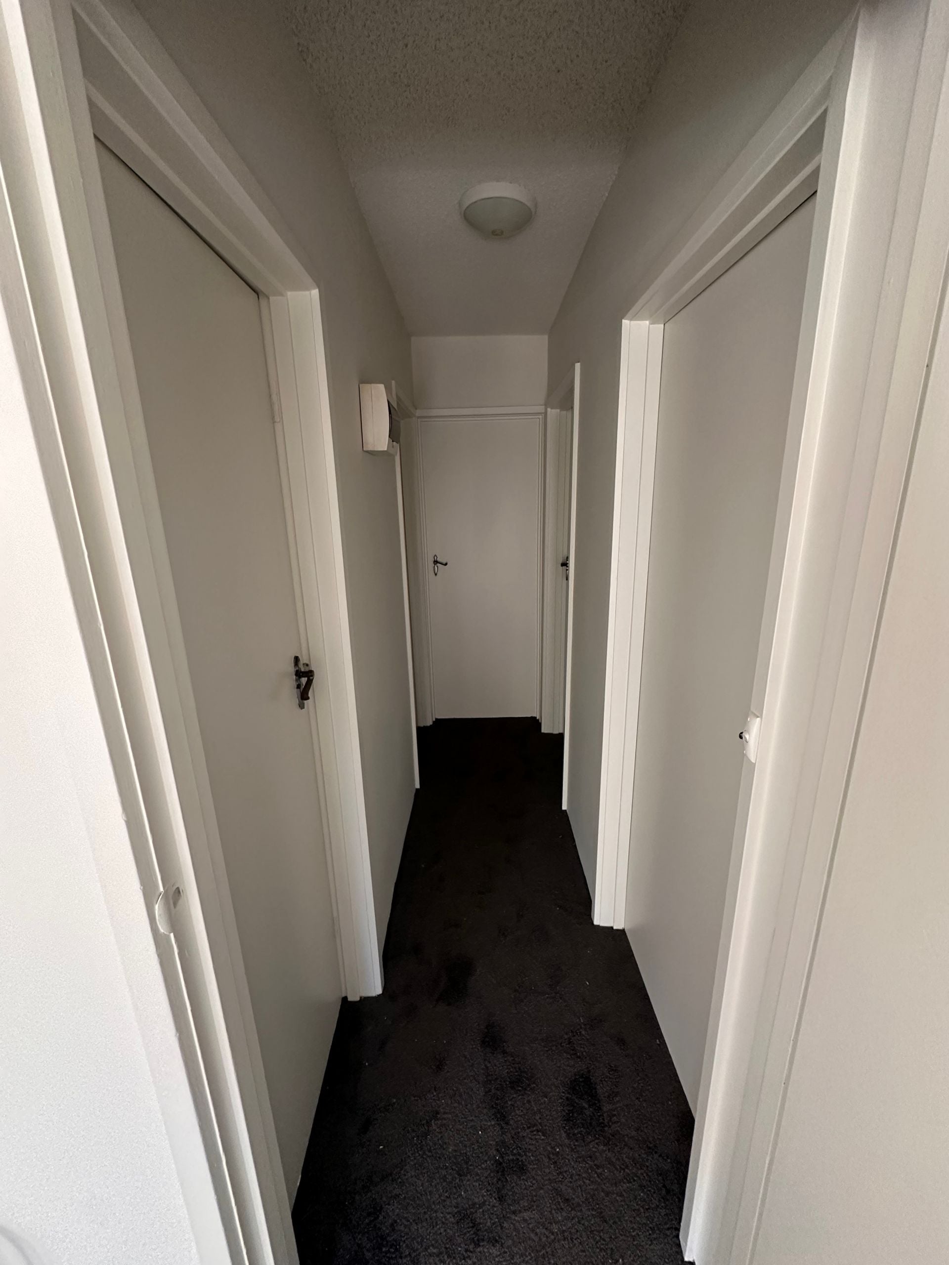 Boutique Living in a Prime Moonee Ponds Setting