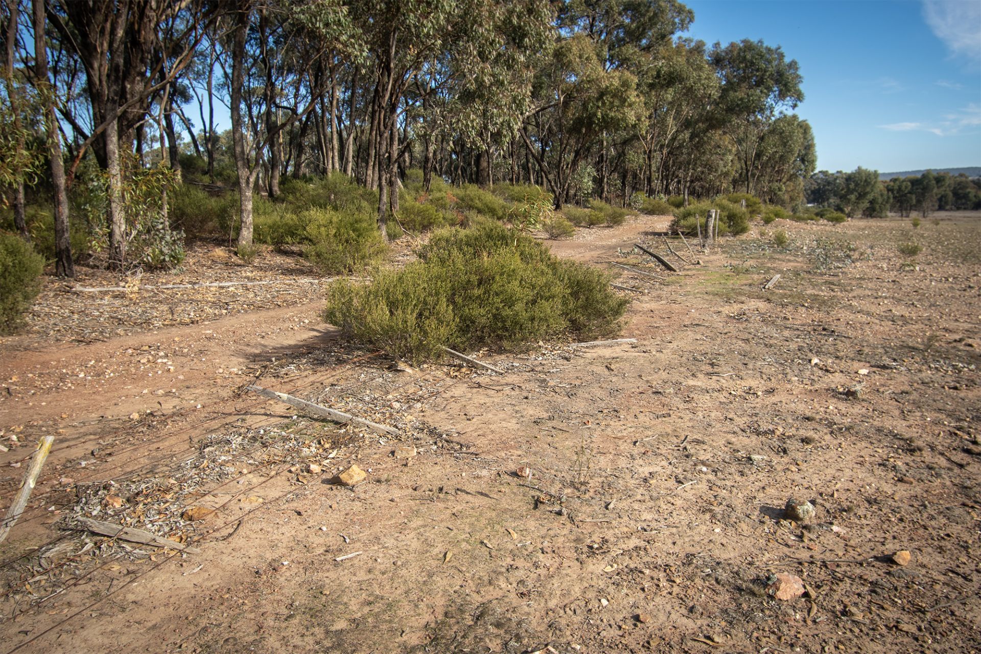 7/ Section 1 Rheola Arnold Road, Rheola - Image 1