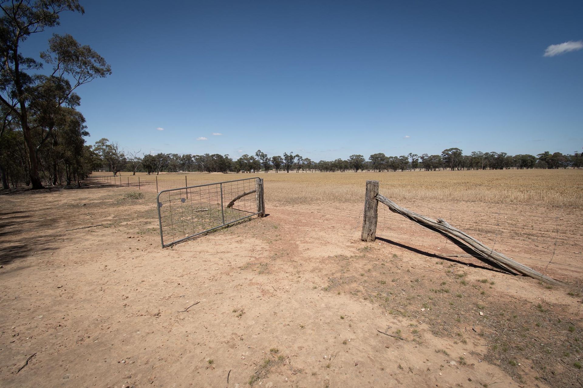 52 Tunstalls Road, Bealiba - Thumbnail 7